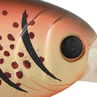 Brown Craw
