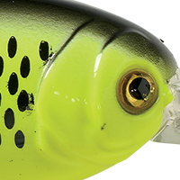 Chartreuse Black Back