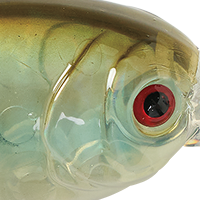 Ghost Shad