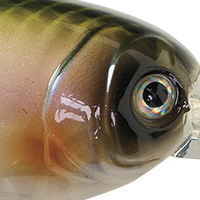 Natty Shad
