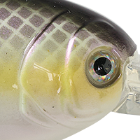 Shifty Shad