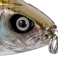 Glass Herring