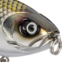 Chrome Herring