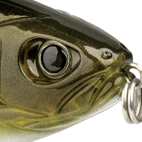 The Real Gill