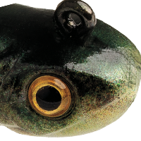 Great Lakes Goby