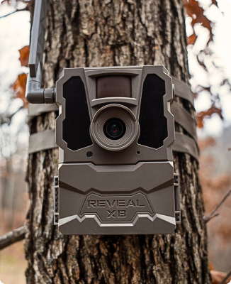 Tactacam Reveal XB Cellular Trail Camera - 