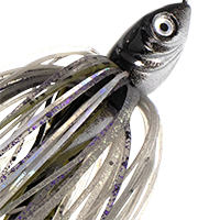 Magic Shad