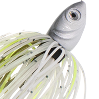 Sexy Guntersville Shad