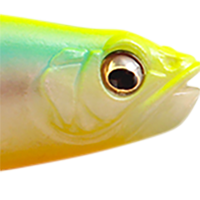 Ghost Chartreuse Back