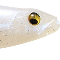 Ghost Shad Solid
