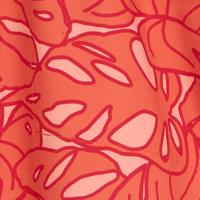 Tropical Peach