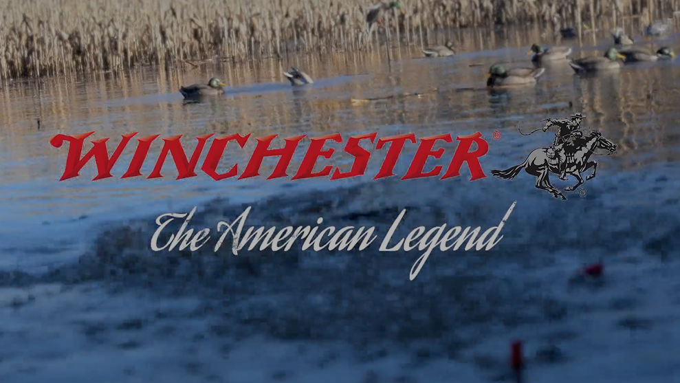 Federal Video Thumbnail