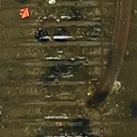 Green Pumpkin Black Flake