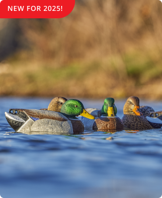 Northern Flight Big Spread Mallard Duck Decoys - Save $10