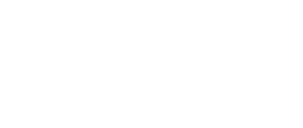 Northern Flight
