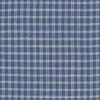 Indigo Small Check