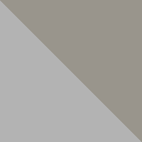 Silver/Silver Gray