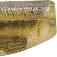 Live Minnow