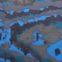 Arctic Storm Fatcarbon