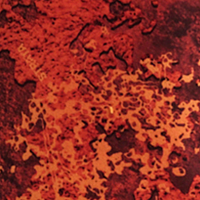 TrueTimber Strata Orange