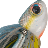 Sexy Shad