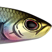 Minnowsota
