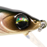 Threadfin Shad