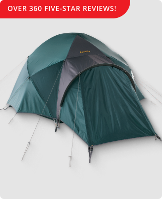 
Over 500 Five-Star Reviews!
