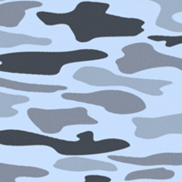 Blue Camo