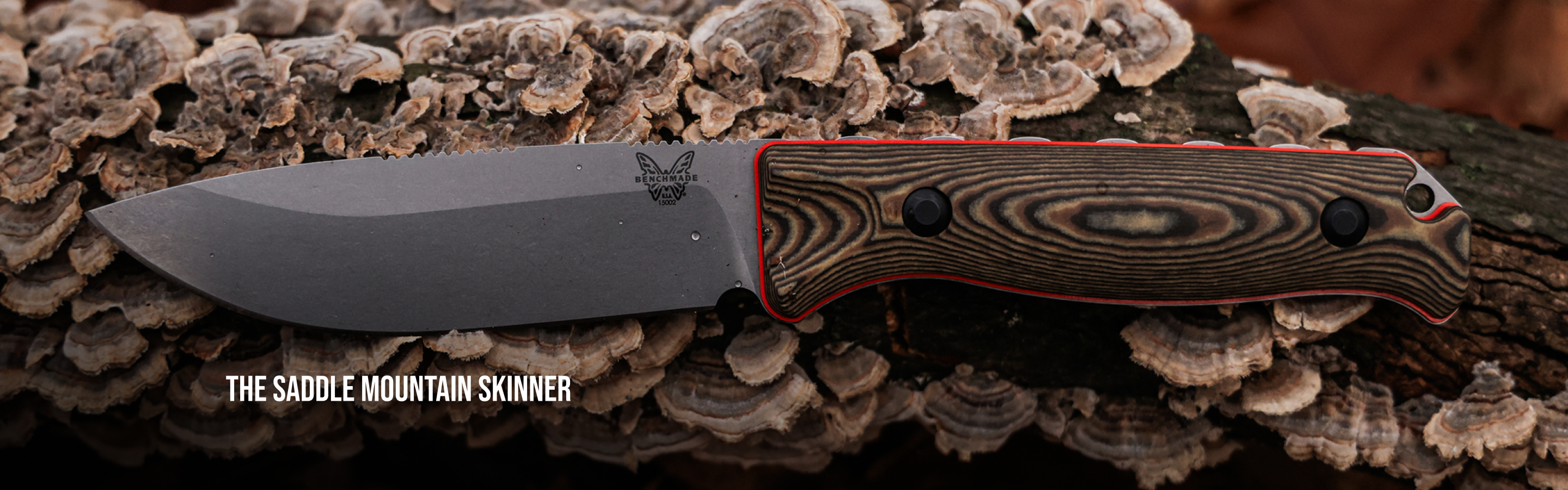 The Saddle mountain skinner