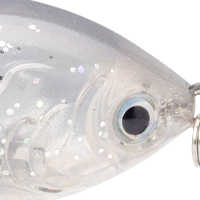 Shad Spawn