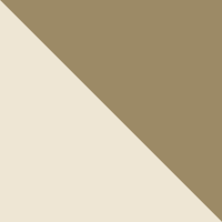 Abbey Stone/Sea Turtle