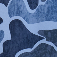 Blue Vintage Camo