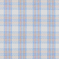 Azure Blue Small Check