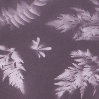 Moonscape Denali Print