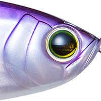 Pearl Threadfin Shad