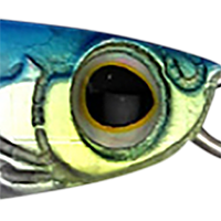 Blue Sardine