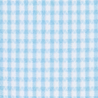 Coastal Waters Gingham
