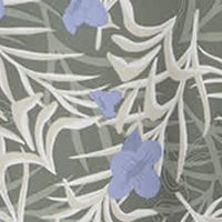 Cypress Sunflora