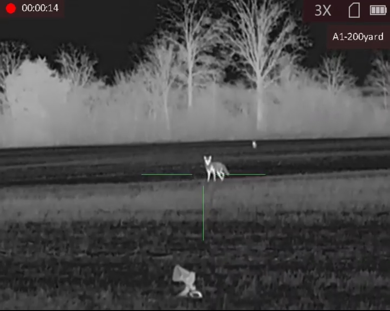 Coyote Hunting with Thermal Imaging