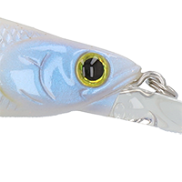 French Pearl OB