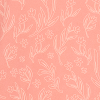 Coral Haze Wildflower