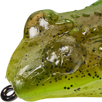 Green Pumpkin Chartreuse