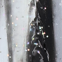 Hologram Shad