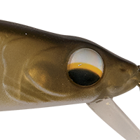 Matte Shad