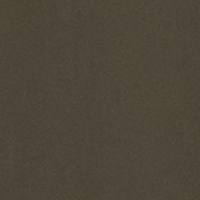 Smokey Olive