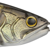 Natural Shiner