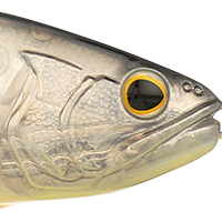 ST BW Shad