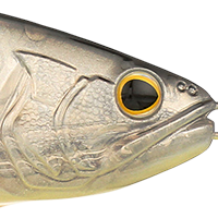 ST BW Shad