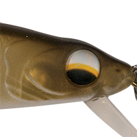 Matte Shad